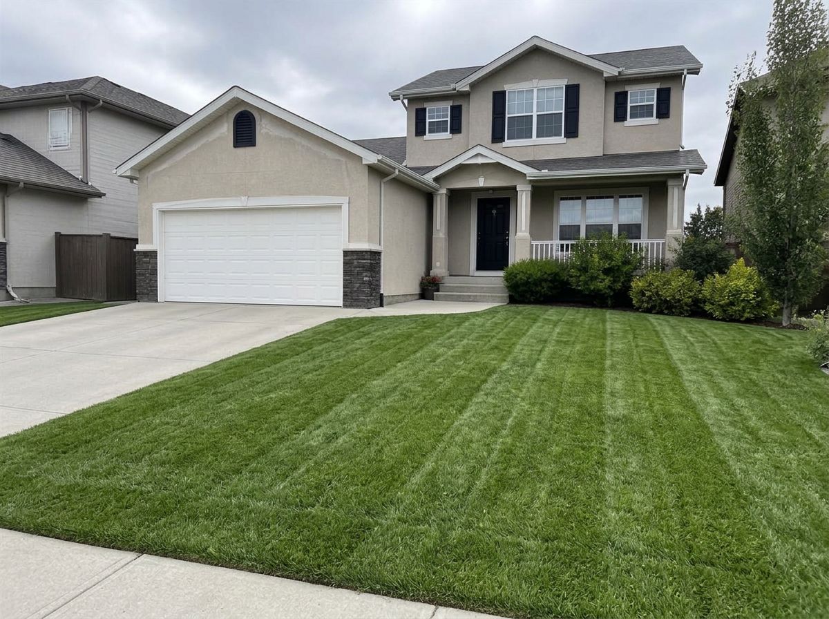 Freshly mowed striped lawn after service
